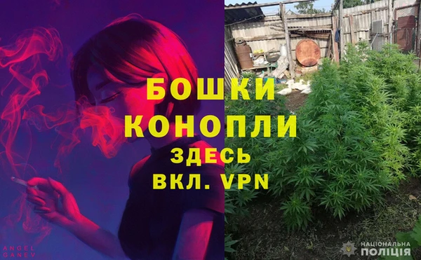 МДПВ Ельня