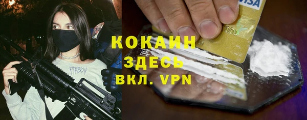 сатива Елабуга