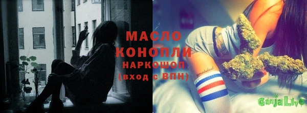МДПВ Ельня