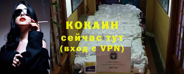 сатива Елабуга