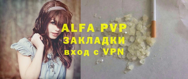 МДПВ Ельня