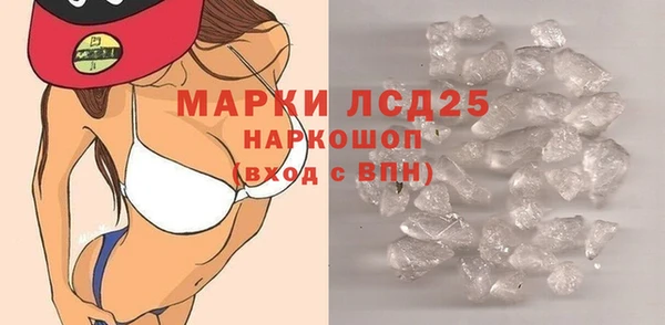 сатива Елабуга