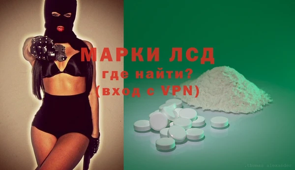 сатива Елабуга