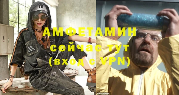 МДПВ Ельня