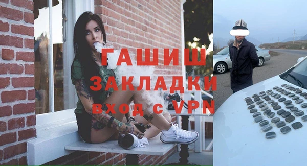 МДПВ Ельня