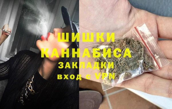 сатива Елабуга