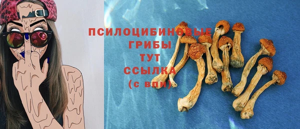 МДПВ Ельня