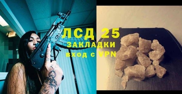 МДПВ Ельня
