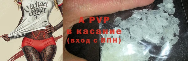МДПВ Ельня