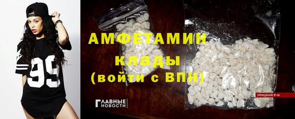сатива Елабуга