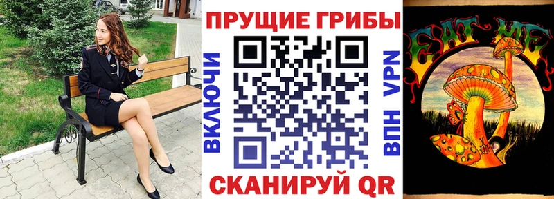 Купить закладки  Зеленокумск  Галлюциногенные грибы Psilocybine cubensis 